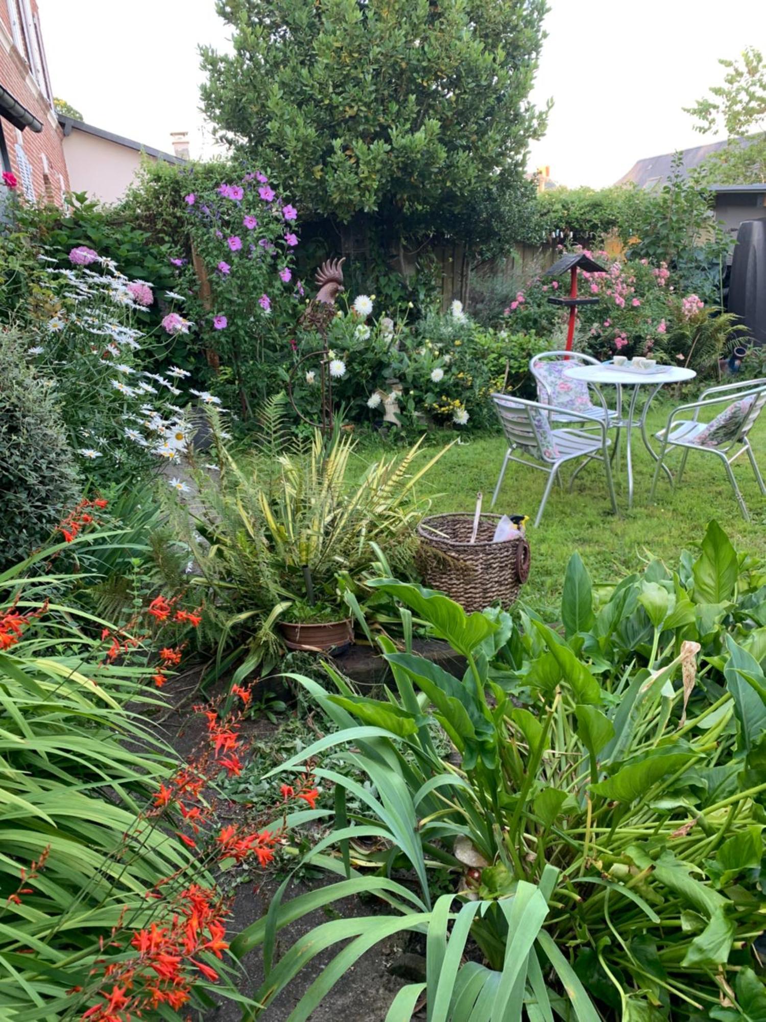 Dom's Garden * Livarot-Pays-d'Auge